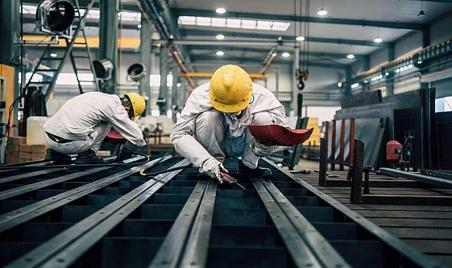 Türkeli Fare İlaçlama